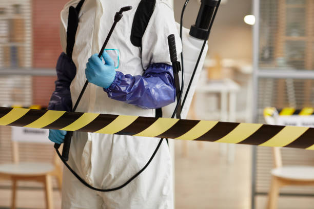 Professional Hoarding Cleanup technician working in Edmore, MI